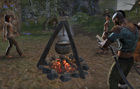 Cooking Fire