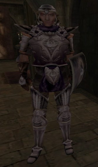 duke s guard elder scrolls fandom duke s guard elder scrolls fandom