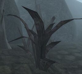Scathecraw (Morrowind)
