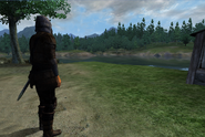 The Gray Fox in the Imperial City Waterfront