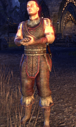 Littrek Earth-Turner, wearing an Ebonheart Pact uniform in Fort Zeren.