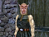 Bosmer (Morrowind)