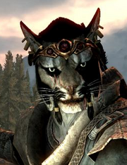 Khajit1