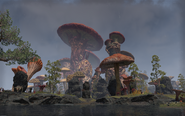 The city of Sadrith Mora.