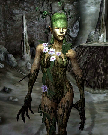 Spriggan Oblivion Elder Scrolls Fandom We found that oblivion.wikia.com has neither alexa ranking nor estimated traffic numbers. spriggan oblivion elder scrolls