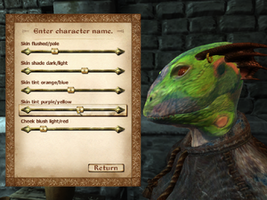 Character Creation (Oblivion)