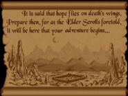 Introductory Slide 3 (Arena).png (183 KB) The third.