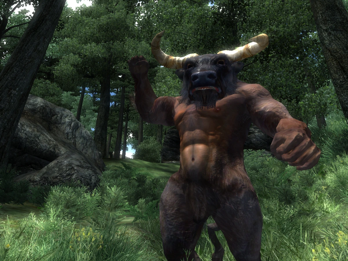 The elder scrolls iv: oblivion. Oblivion game of the year edition deluxe. Свитки 4 обливион. Elder scrolls oblivion goty. Минотавр обливион.