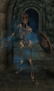 Valdemar's skeleton