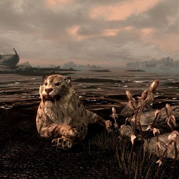 Snowy Sabre Cat Skyrim Elder Scrolls Fandom