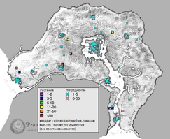 Томат карта.png