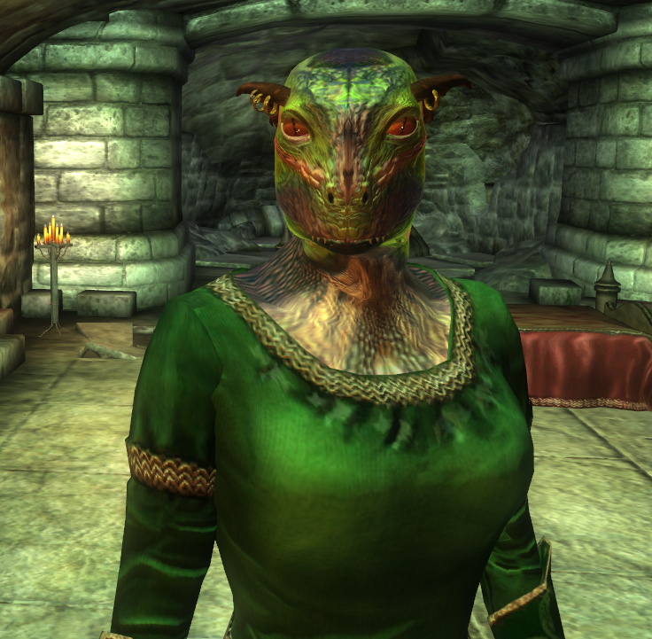 Argonian textures. Аргонианин tes4. Oblivion аргонианин. The Elder Scrolls 4 аргонианин. Oblivion аргониане.