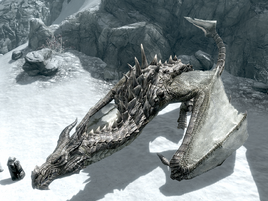 Brown Dragon 1