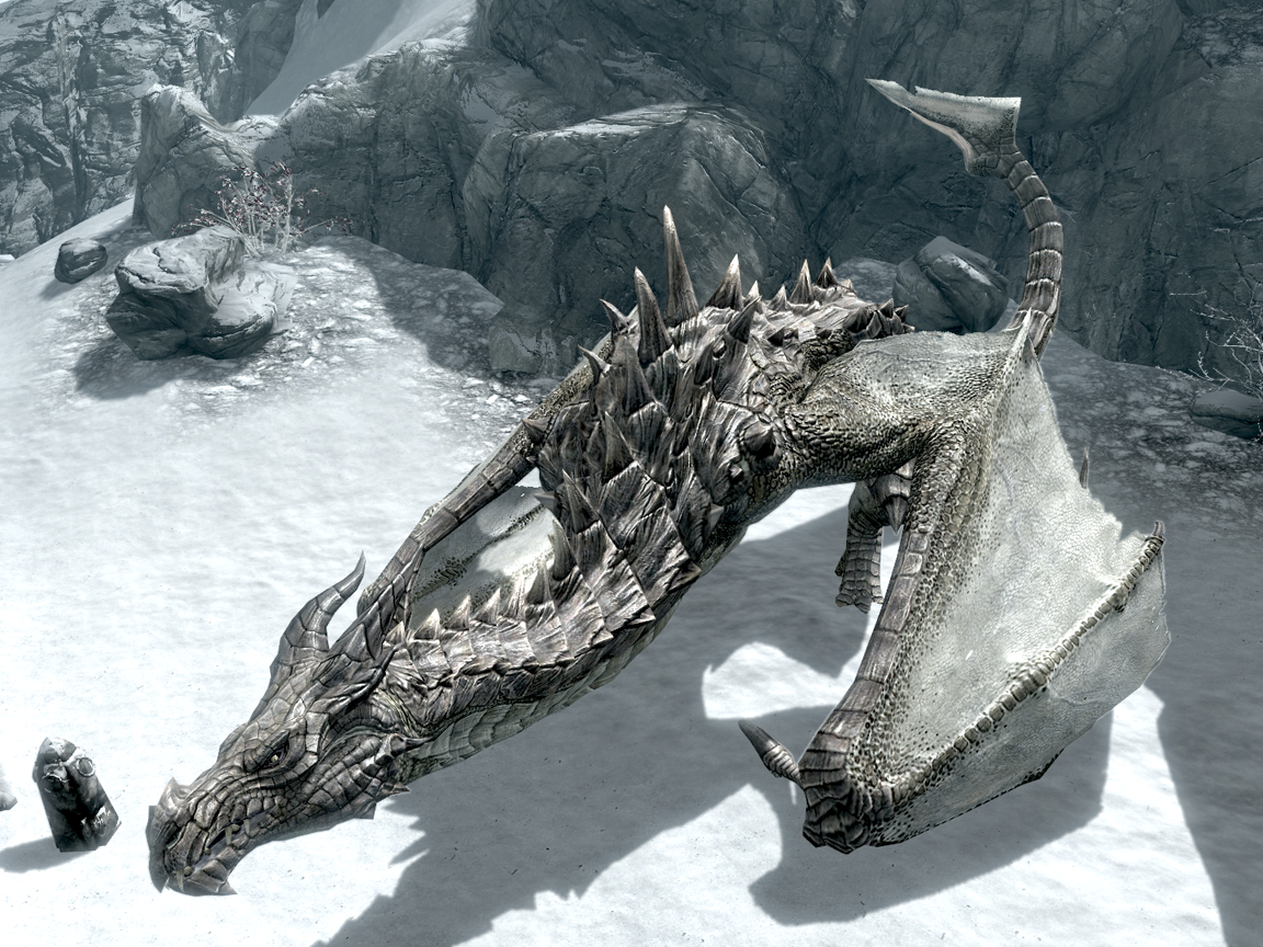 Dragon  Images de dragons, Dragons, Dragon skyrim