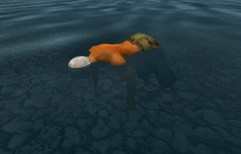 Permanent Retirement