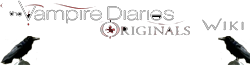 TVD wiki wordmark