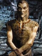 Altmer z gry The Elder Scrolls V: Skyrim