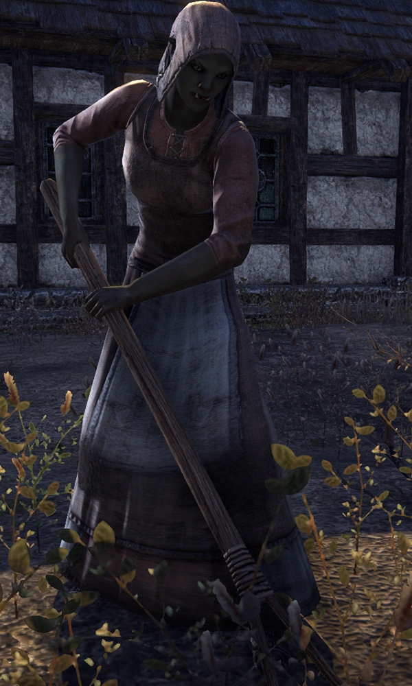 Goorga gra-Shugduk | Elder Scrolls | Fandom