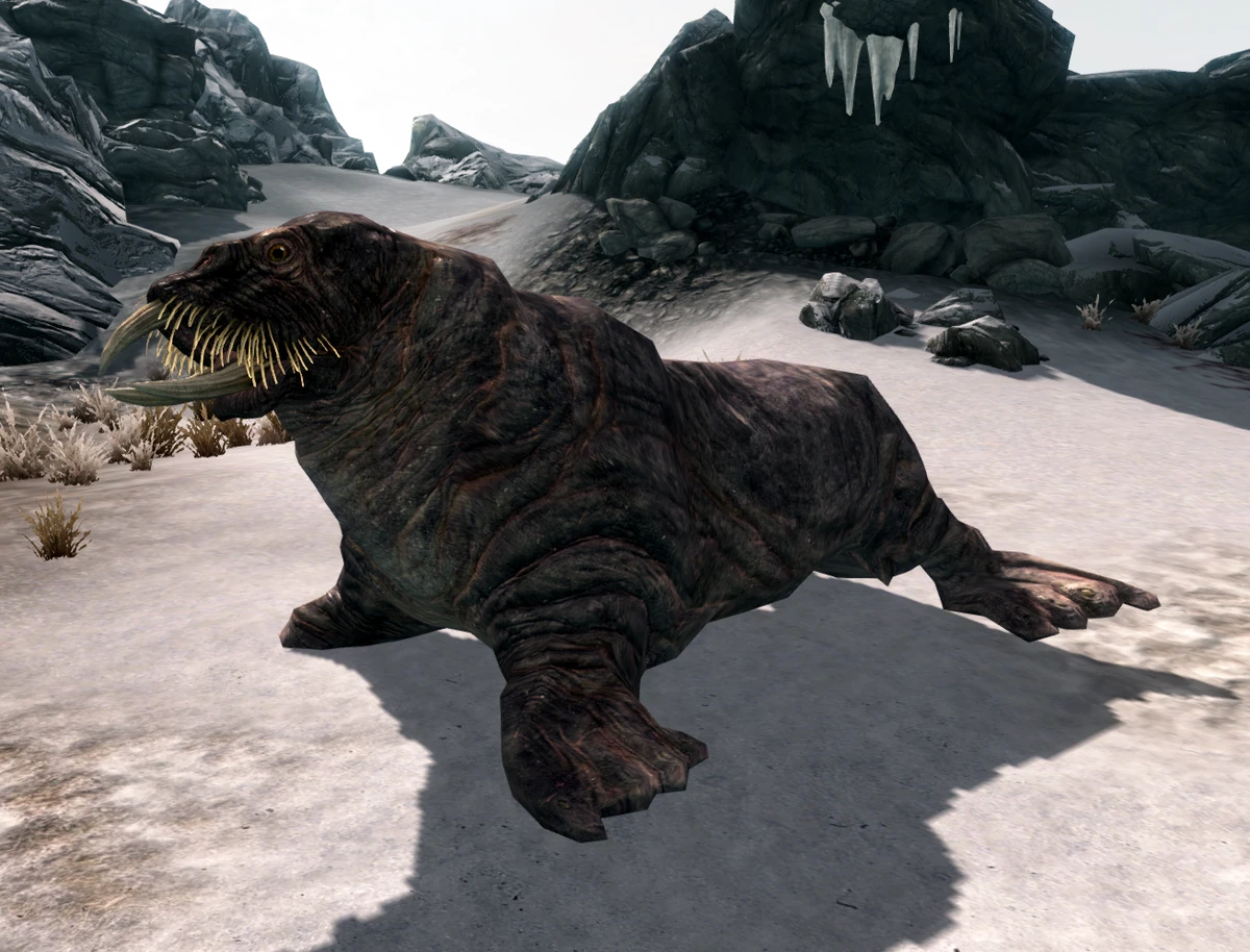 elderscrolls.fandom.com