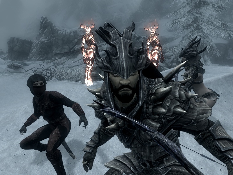 skyrim se more followers