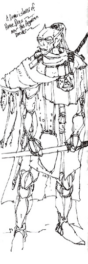 Wild Regions 1.png