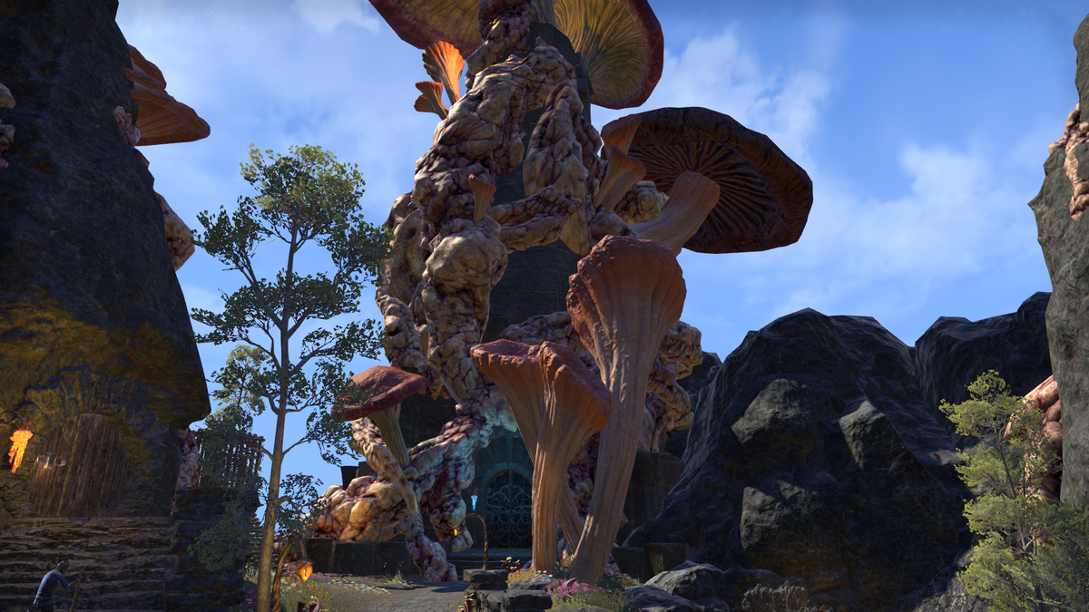 Тель арун. Морровинд рынок рабов в тель аруне. Морровинд крепость индоранион. Поселение телванни морровинд. Морровинд тель мора.