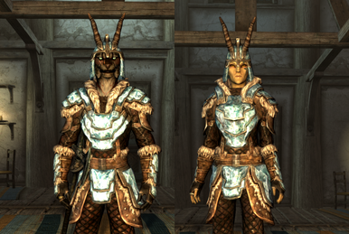 Stalhrim Armor | Elder Scrolls | Fandom
