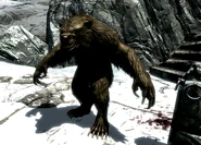 A werebear at Snowclad Ruins