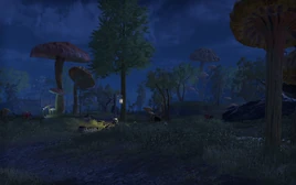 Ascadian Isles (Online)