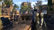 ESO-Morrowind-Balmora 1485885026