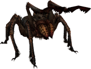 FrostbiteSpider