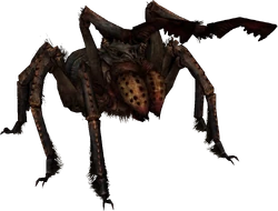 FrostbiteSpider