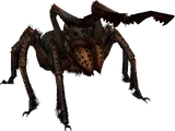 Frostbite Spider (Skyrim)