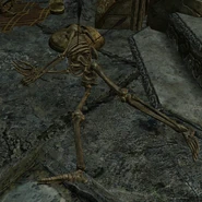 Sinderion Death.png (479 KB) Sinderion's skeleton riddled with arrows.