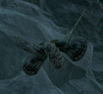 Winter Moth | Elder Scrolls | Fandom