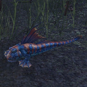 Мёркмайрский грязевой прыгун.jpg (22 КБ) Грязевой прыгун Мрачных Трясин