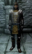 Baurus (Oblivion).png (892 KB) Członek Ostrzy, Redgard Baurus, noszący Akavirską zbroję Tsaesci z gry The Elder Scrolls IV: Oblivion