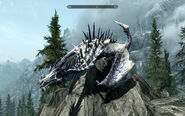 A frost dragon, landed and posed on a rock.