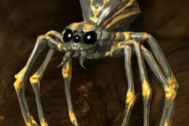 Spider pack deals