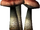 Fly Amanita (Skyrim)