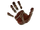 Тёмное Братство (Daggerfall)