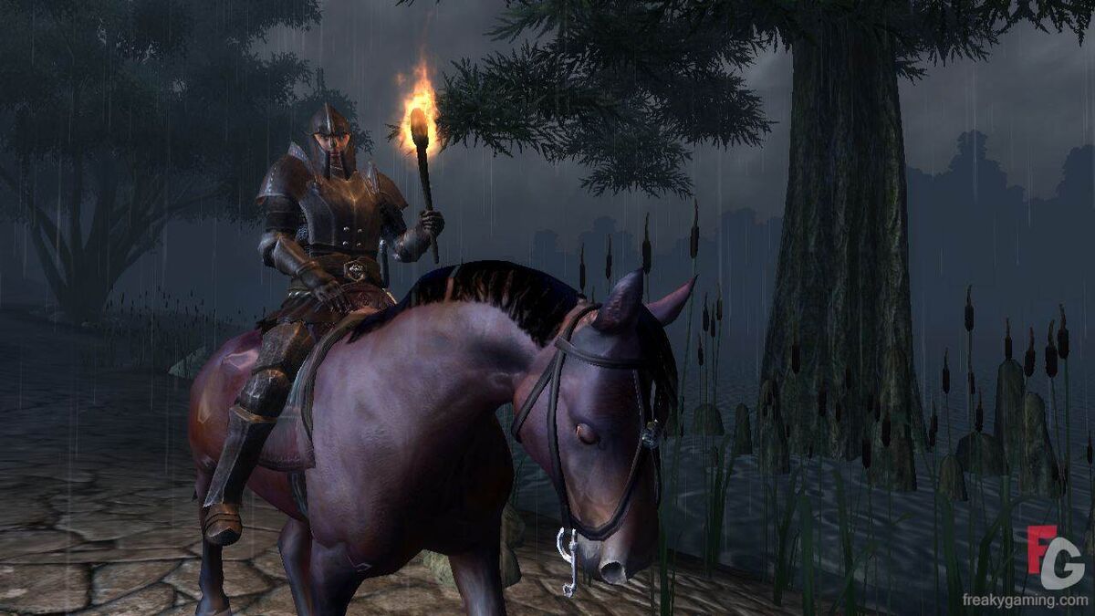 Horse (Oblivion) Elder Scrolls Fandom