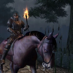 Horse (Oblivion) | Elder Scrolls | Fandom