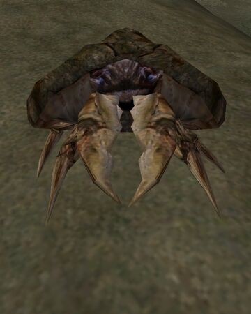 Morrowind sell skooma moon sugar Morrowind sell skooma moon sugar