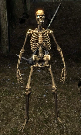 Skeleton (Skyrim)