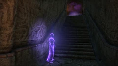 Библиотека Андулы 14 ESOM