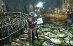 Neloth Reading