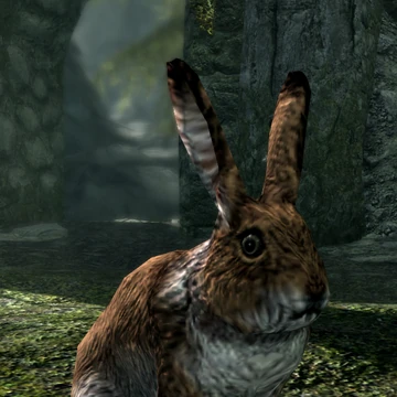 elder scrolls fandom