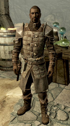 Florentius Dawnguard Armor