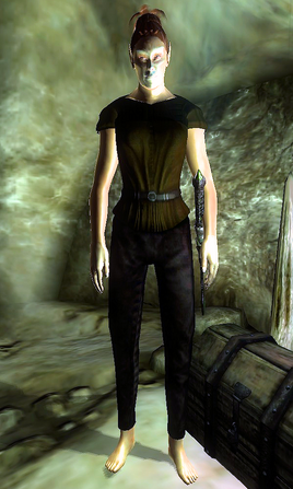 Vampire Witchhunter